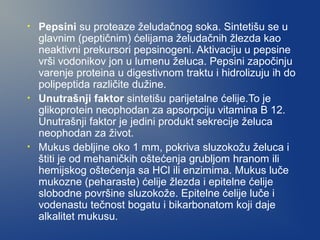 •

•

•

Pepsini su proteaze želudačnog soka. Sintetišu se u
glavnim (peptičnim) ćelijama želudačnih žlezda kao
neaktivni prekursori pepsinogeni. Aktivaciju u pepsine
vrši vodonikov jon u lumenu želuca. Pepsini započinju
varenje proteina u digestivnom traktu i hidrolizuju ih do
polipeptida različite dužine.
Unutrašnji faktor sintetišu parijetalne ćelije.To je
glikoprotein neophodan za apsorpciju vitamina B 12.
Unutrašnji faktor je jedini produkt sekrecije želuca
neophodan za život.
Mukus debljine oko 1 mm, pokriva sluzokožu želuca i
štiti je od mehaničkih oštećenja grubljom hranom ili
hemijskog oštećenja sa HCl ili enzimima. Mukus luče
mukozne (peharaste) ćelije žlezda i epitelne ćelije
slobodne površine sluzokože. Epitelne ćelije luče i
vodenastu tečnost bogatu i bikarbonatom koji daje
alkalitet mukusu.

 