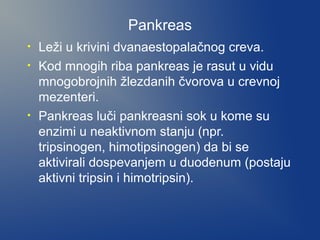 Pankreas
•
•

•

Leži u krivini dvanaestopalačnog creva.
Kod mnogih riba pankreas je rasut u vidu
mnogobrojnih žlezdanih čvorova u crevnoj
mezenteri.
Pankreas luči pankreasni sok u kome su
enzimi u neaktivnom stanju (npr.
tripsinogen, himotipsinogen) da bi se
aktivirali dospevanjem u duodenum (postaju
aktivni tripsin i himotripsin).

 