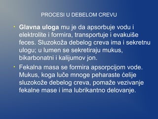 PROCESI U DEBELOM CREVU
•

•

Glavna uloga mu je da apsorbuje vodu i
elektrolite i formira, transportuje i evakuiše
feces. Sluzokoža debelog creva ima i sekretnu
ulogu; u lumen se sekretiraju mukus,
bikarbonatni i kalijumov jon.
Fekalna masa se formira apsorpcijom vode.
Mukus, koga luče mnoge peharaste ćelije
sluzokože debelog creva, pomaže vezivanje
fekalne mase i ima lubrikantno delovanje.

 