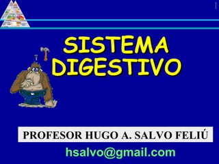 PROFESOR HUGO A. SALVO FELIÚ [email_address] SISTEMA DIGESTIVO 