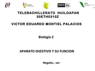 TELEBACHILLERATO  HUILOAPAN 30ETH0310Z  VICTOR EDUARDO MONTIEL PALACIOS  APARATO DIJESTIVO Y SU FUNCION  Nogales , ver  Biología 2 