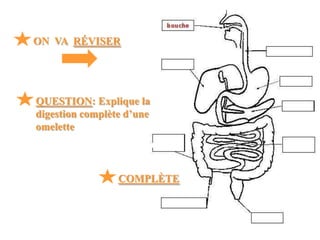 ON VA RÉVISER




QUESTION: Explique la
digestion complète d’une
omelette



                 COMPLÈTE
 