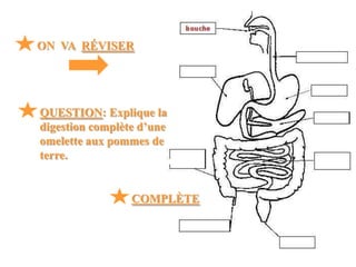 ON VA RÉVISER




QUESTION: Explique la
digestion complète d’une
omelette aux pommes de
terre.


                 COMPLÈTE
 