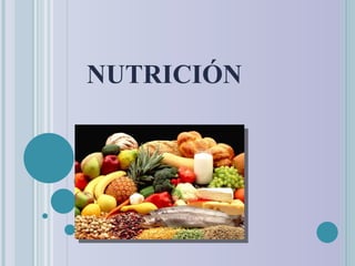 NUTRICIÓN 