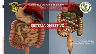 SISTEMA DIGESTIVO
Fisiología Médica
Fonseca Quiroz Kathya IV-5
Universidad Autónoma de Sinaloa
Facultad de Medicina
 