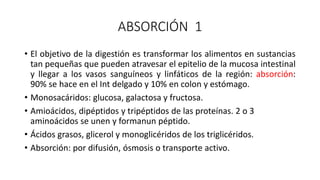 ABSORCIÓN 1
• El objetivo de la digestión es transformar los alimentos en sustancias
tan pequeñas que pueden atravesar el epitelio de la mucosa intestinal
y llegar a los vasos sanguíneos y linfáticos de la región: absorción:
90% se hace en el Int delgado y 10% en colon y estómago.
• Monosacáridos: glucosa, galactosa y fructosa.
• Amioácidos, dipéptidos y tripéptidos de las proteínas. 2 o 3
aminoácidos se unen y formanun péptido.
• Ácidos grasos, glicerol y monoglicéridos de los triglicéridos.
• Absorción: por difusión, ósmosis o transporte activo.
 