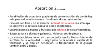 Absorción 2……..
• Por difusión: de acuerdo al gradiente de concentración: de donde hay
más pasa a donde hay menos. Los disacáridos no se absorben.
• Celulosa son fibras; no se absorbe. Amilasa de la saliva en estómago
se inactiva y se activa la lipasa ya desde el estómago.
• Sacarosa: pasa a glucosa y fructosa: por amilasa de saliva y páncreas.
• Lactosa: pasa a glucosa y galactosa. Maltosa: dos de glucosa.
• Los monosacáridos tienen un transportador que los lleva al interior de
la célula de la vellosidad…….luego pasa de la célula al capilar de la
vellosidad y ya está en circulación. El trasportador de la glucosa
también entra 2 sodios.
 
