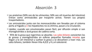 Absorción 3
• Las proteínas (50% son de los alimentos; 50% son cél muertas del intestino)
Entran como aminoácidos por trasporte activo. Tienen sus propios
trasportadores.
• Los aminoácidos junto con los monosacáridos son llevados por el sistema
porta al hígado y si los hepatocitos no os elimina, pasan a la circulación.
• Lípidos: cuando son emulsionados pasan fácil, por difusión simple si son
monoglicéridos o ácid grasos de cadena corta.
• 95% de la grasa que ingerimos se absorbe. Las sales biliares convierten los
ác grasos y monoglicéridos en esferas pequeñas llamadas micelas que
llegan a la cél intestinal y sueltan la grasa y se devuelven a traer más. Las
sales biliares, también llevan Vita A;D;E y K y el colesterol.
 