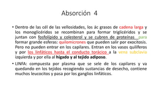 Absorción 4
• Dentro de las cél de las vellosidades, los ác grasos de cadena larga y
los monoglicéridos se recombinan para formar triglicéridos y se
juntan con fosfolípido y colesterol y se cubren de proteínas para
formar grande esferas: quilomicrones que pueden salir por exocitosis.
Pero no pueden entrar en los capilares. Entran en los vasos quilíferos
y por los linfáticos hasta el conducto torácico a la vena subclavia
izquierda y por ella al hígado y al tejido adiposo.
• LINFA: compuesta por plasma que se sele de los capilares y va
quedando en los tejidos recogiendo sustancias de desecho, contiene
muchos leucocitos y pasa por los ganglios linfáticos.
 