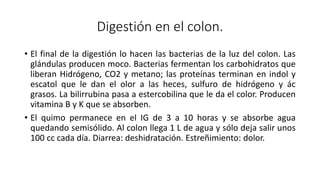 Digestión en el colon.
• El final de la digestión lo hacen las bacterias de la luz del colon. Las
glándulas producen moco. Bacterias fermentan los carbohidratos que
liberan Hidrógeno, CO2 y metano; las proteínas terminan en indol y
escatol que le dan el olor a las heces, sulfuro de hidrógeno y ác
grasos. La bilirrubina pasa a estercobilina que le da el color. Producen
vitamina B y K que se absorben.
• El quimo permanece en el IG de 3 a 10 horas y se absorbe agua
quedando semisólido. Al colon llega 1 L de agua y sólo deja salir unos
100 cc cada día. Diarrea: deshidratación. Estreñimiento: dolor.
 