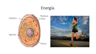 Energía.
 