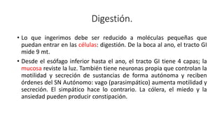 Digestión.
• Lo que ingerimos debe ser reducido a moléculas pequeñas que
puedan entrar en las células: digestión. De la boca al ano, el tracto GI
mide 9 mt.
• Desde el esófago inferior hasta el ano, el tracto GI tiene 4 capas; la
mucosa reviste la luz. También tiene neuronas propia que controlan la
motilidad y secreción de sustancias de forma autónoma y reciben
órdenes del SN Autónomo: vago (parasimpático) aumenta motilidad y
secreción. El simpático hace lo contrario. La cólera, el miedo y la
ansiedad pueden producir constipación.
 