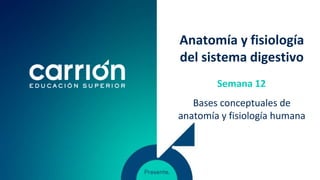Anatomía y fisiología
del sistema digestivo
Bases conceptuales de
anatomía y fisiología humana
Semana 12
 