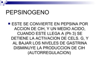 PEPSINOGENO ESTE SE CONVIERTE EN PEPSINA POR ACCION DE CIH, Y UN MEDIO ACIDO, CUANDO ESTE LLEGA A (Ph 3) SE DETIENE LA ACTIVACION DE CELS. G, Y AL BAJAR LOS NIVELES DE GASTRINA DISMINUYE LA PRODUCCION DE CIH  (AUTORREGULACION)  