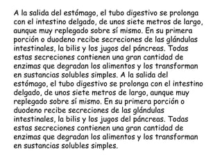 A la salida del estómago, el tubo digestivo se prolonga con el intestino delgado, de unos siete metros de largo, aunque muy replegado sobre sí mismo. En su primera porción o duodeno recibe secreciones de las glándulas intestinales, la bilis y los jugos del páncreas. Todas estas secreciones contienen una gran cantidad de enzimas que degradan los alimentos y los transforman en sustancias solubles simples. A la salida del estómago, el tubo digestivo se prolonga con el intestino delgado, de unos siete metros de largo, aunque muy replegado sobre sí mismo. En su primera porción o duodeno recibe secreciones de las glándulas intestinales, la bilis y los jugos del páncreas. Todas estas secreciones contienen una gran cantidad de enzimas que degradan los alimentos y los transforman en sustancias solubles simples.   