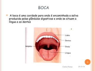 BOCA 
 A boca é uma cavidade para onde é encaminhada a saliva 
produzida pelas glândulas digestivas e onde se situam a 
língua e os dentes 
25-11-14 
5 
Carlos Palma 
 