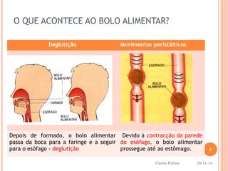 O QUE ACONTECE AO BOLO ALIMENTAR? 
Deglutição Movimentos peristálticos 
Depois de formado, o bolo alimentar 
passa da boca para a faringe e a seguir 
para o esófago - deglutição 
Devido à contracção da parede 
do esófago, o bolo alimentar 
prossegue até ao estômago. 
8 
25-11-14 
Carlos Palma 
 