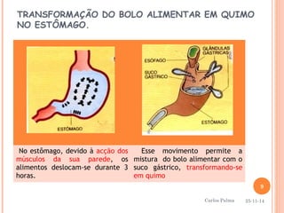 TRANSFORMAÇÃO DO BOLO ALIMENTAR EM QUIMO 
NO ESTÔMAGO. 
No estômago, devido à acção dos 
músculos da sua parede, os 
alimentos deslocam-se durante 3 
horas. 
Esse movimento permite a 
mistura do bolo alimentar com o 
suco gástrico, transformando-se 
em quimo 
9 
25-11-14 
Carlos Palma 
 