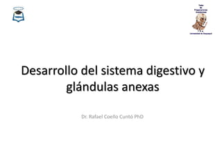 Desarrollo del sistema digestivo y
glándulas anexas
Dr. Rafael Coello Cuntó PhD
 