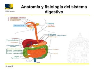 Unidad 2 Anatomía y fisiología del sistema digestivo 