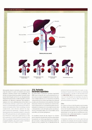 Digestivo Cto 7