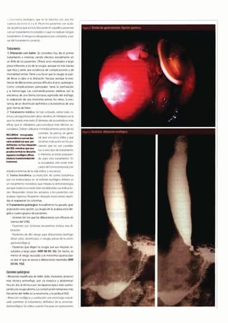 Digestivo Cto 7
