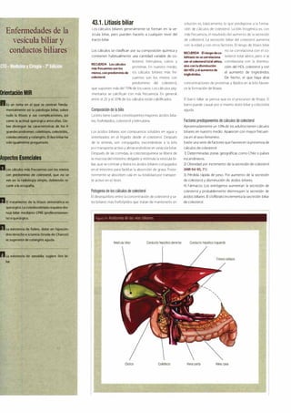 Digestivo Cto 7