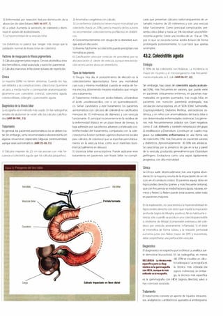 Digestivo Cto 7