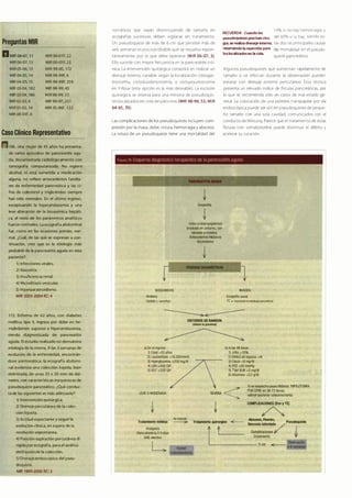 Digestivo Cto 7