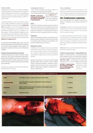 Digestivo Cto 7