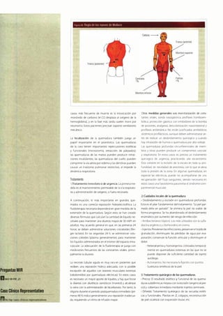 Digestivo Cto 7