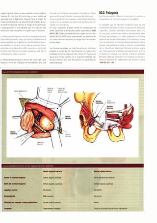 Digestivo Cto 7