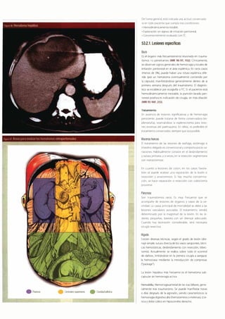 Digestivo Cto 7
