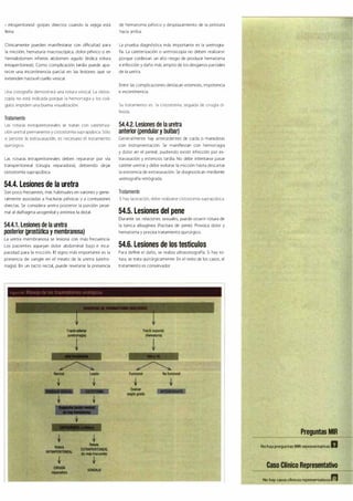 Digestivo Cto 7