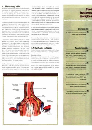 Digestivo Cto 7