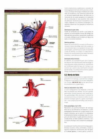 Digestivo Cto 7