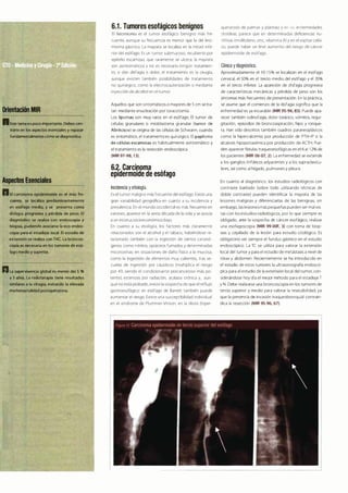 Digestivo Cto 7