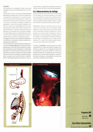 Digestivo Cto 7