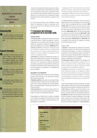 Digestivo Cto 7