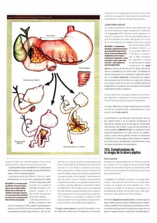 Digestivo Cto 7
