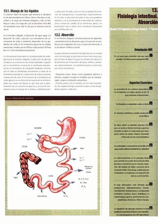 Digestivo Cto 7