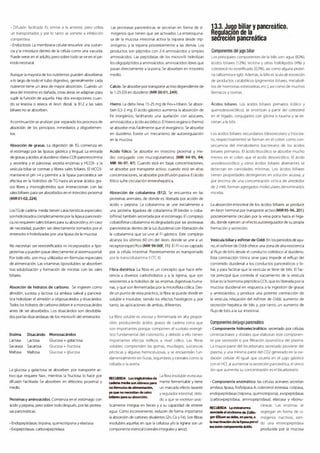 Digestivo Cto 7