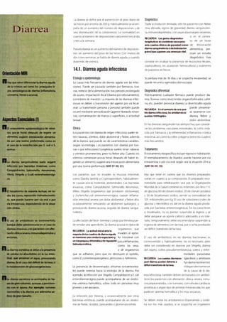 Digestivo Cto 7