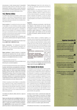Digestivo Cto 7