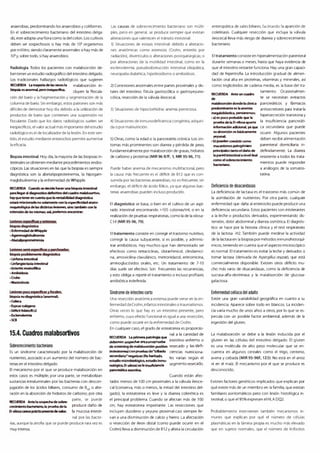 Digestivo Cto 7