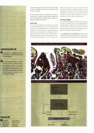 Digestivo Cto 7