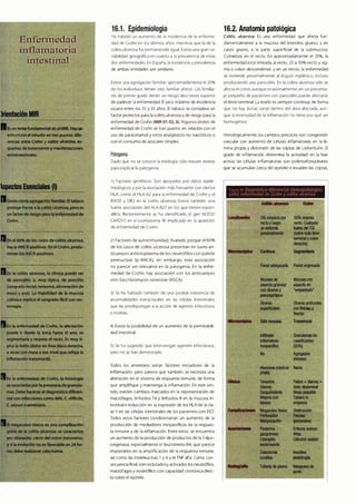 Digestivo Cto 7