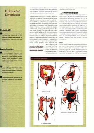 Digestivo Cto 7