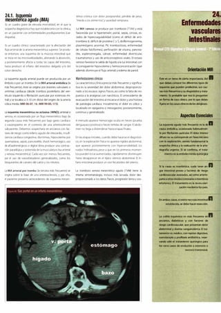 Digestivo Cto 7
