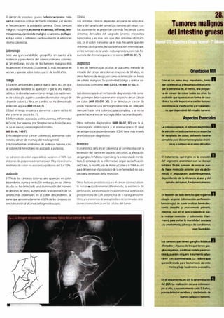 Digestivo Cto 7